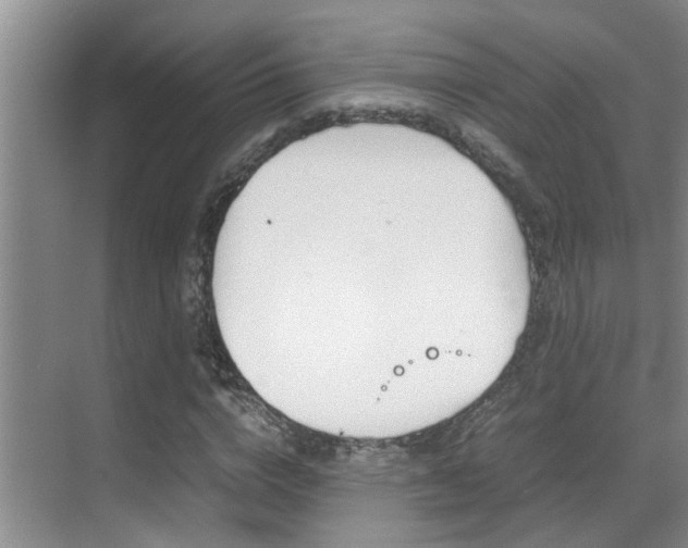 X0000070410824200606090953