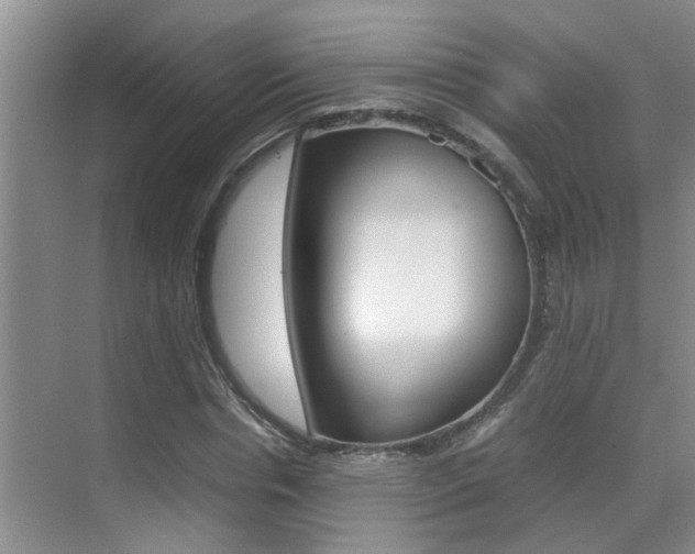 X0000070410826200606090953