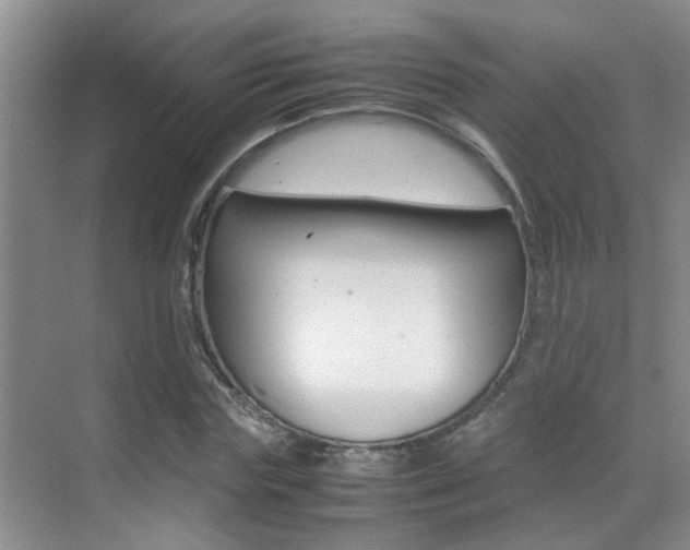 X0000070410827200606090953