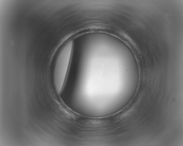 X0000070410829200606090953