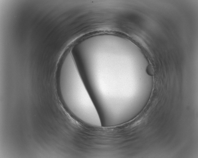 X0000070410831200606090953