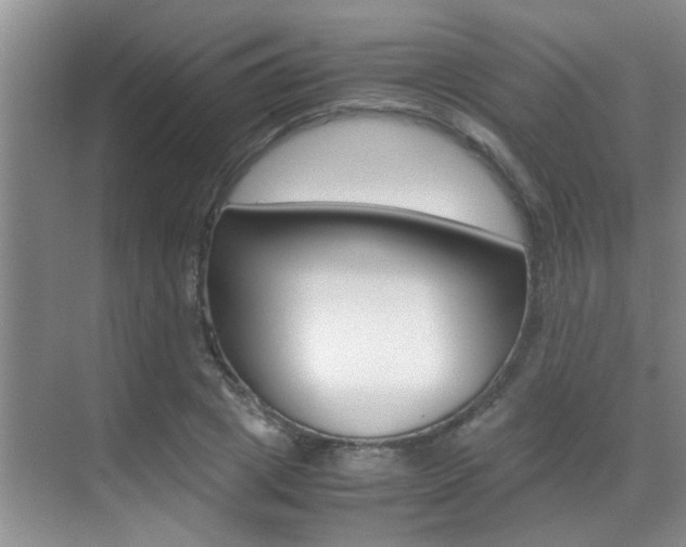 X0000070410833200606090953