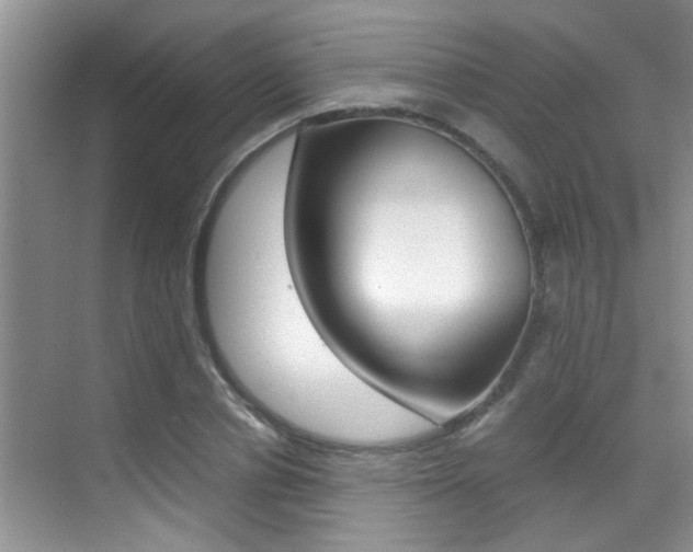 X0000070410834200606090953