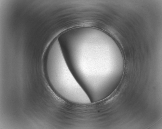 X0000070410835200606090953