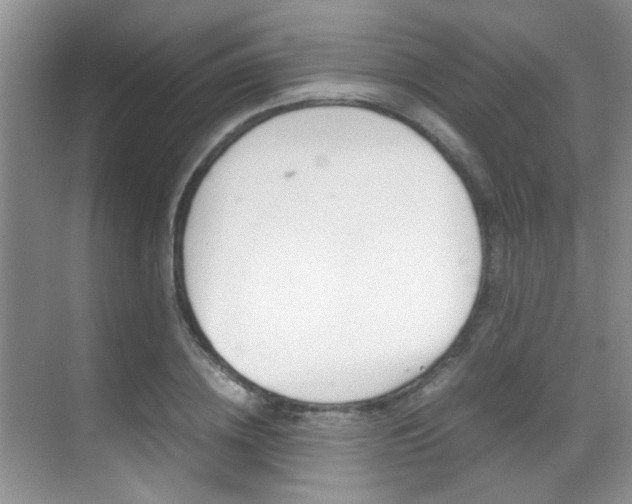 X0000070410836200606090953