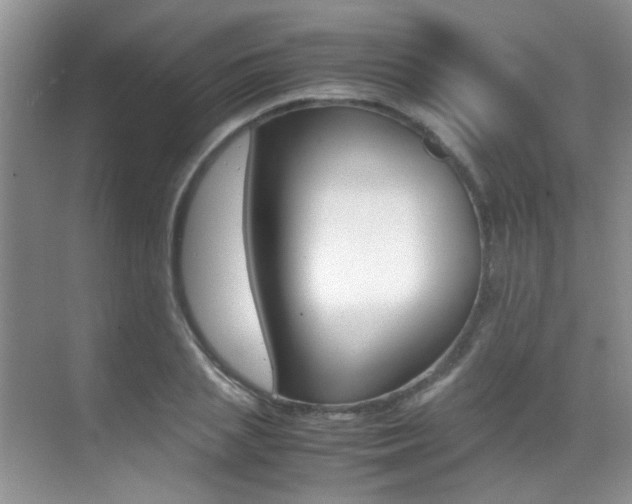 X0000070410837200606090953