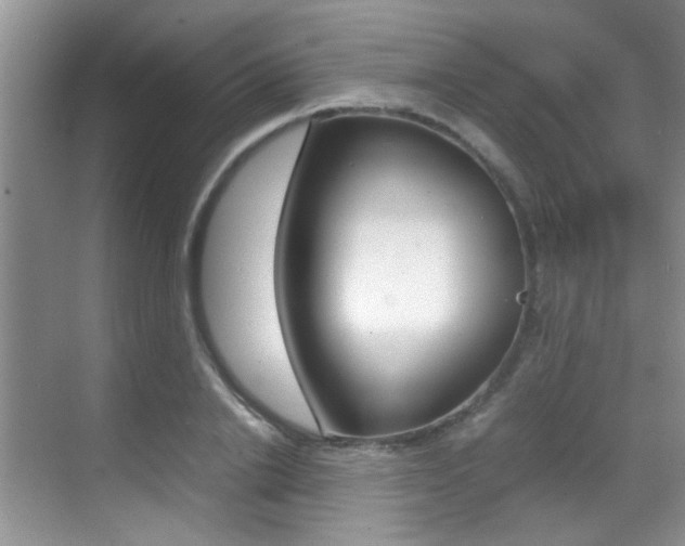 X0000070410838200606090953