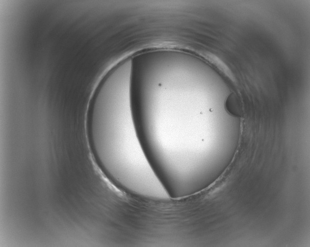 X0000070410839200606090953