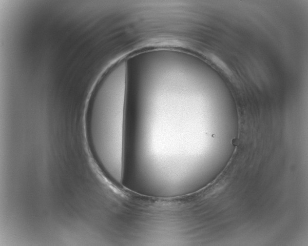 X0000070410840200606090953