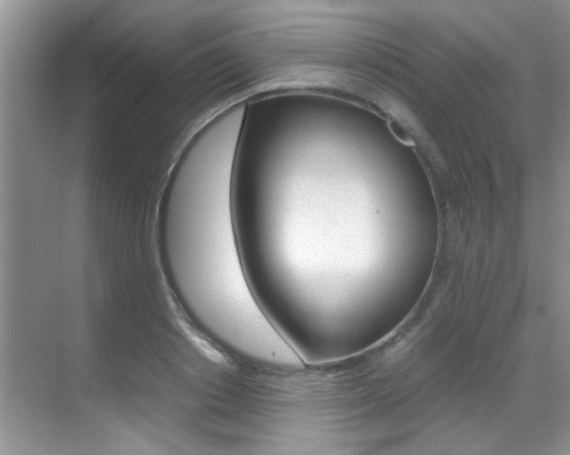 X0000070410842200606090953