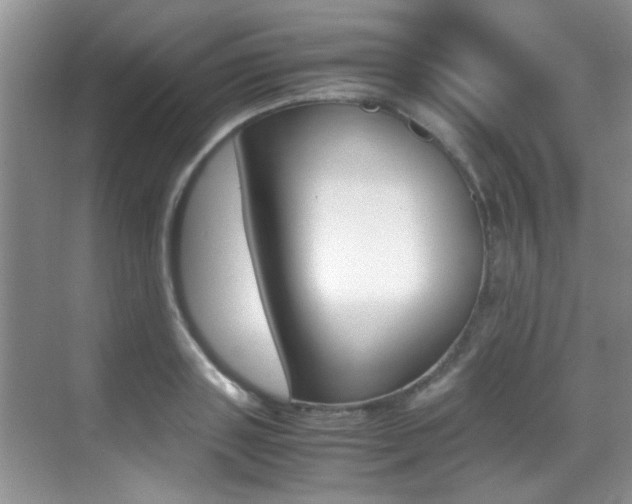 X0000070410843200606090953