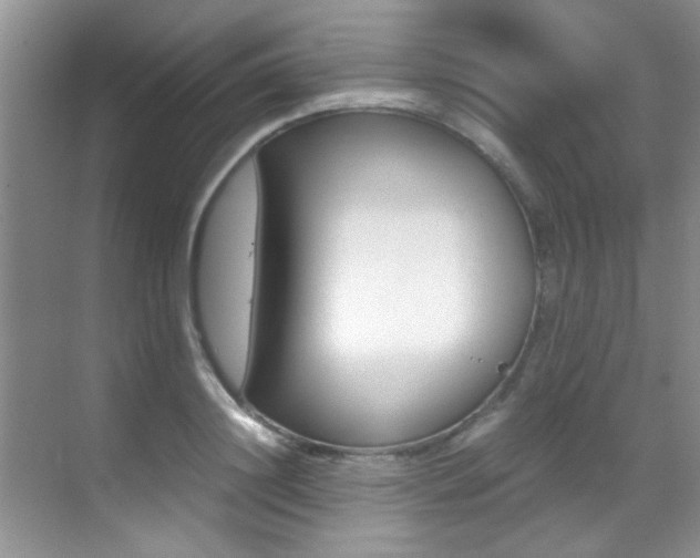 X0000070410844200606090953