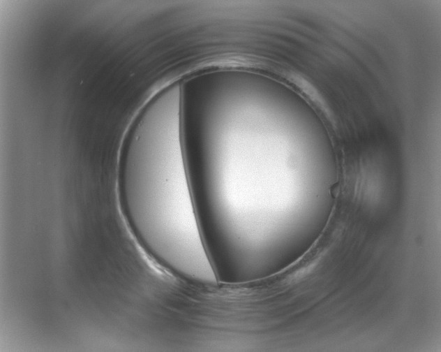 X0000070410845200606090953