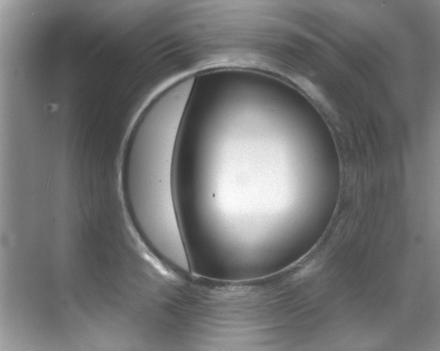 X0000070410846200606090953