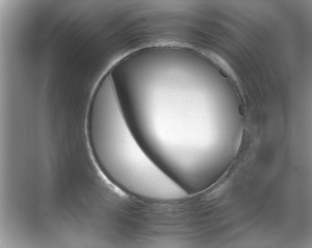 X0000070410847200606090953