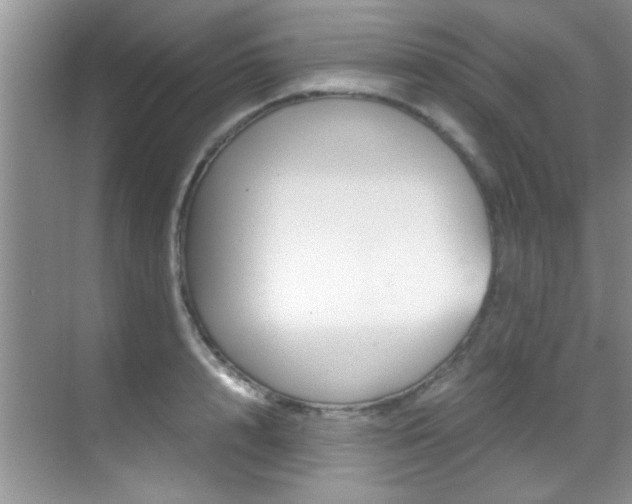 X0000070410848200606090953