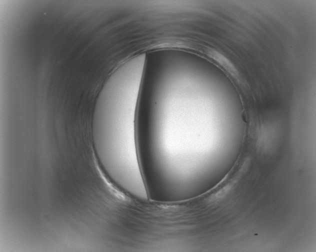 X0000070410849200606090953