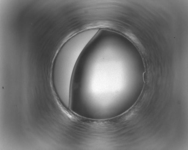 X0000070410850200606090953