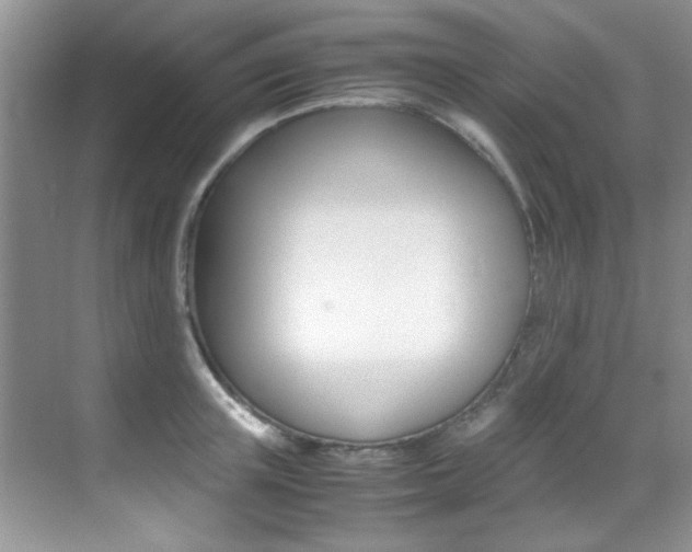 X0000070410851200606090953