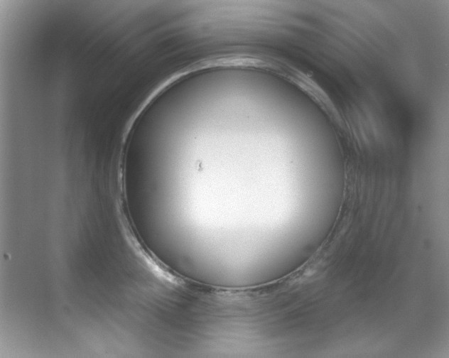 X0000070410852200606090953