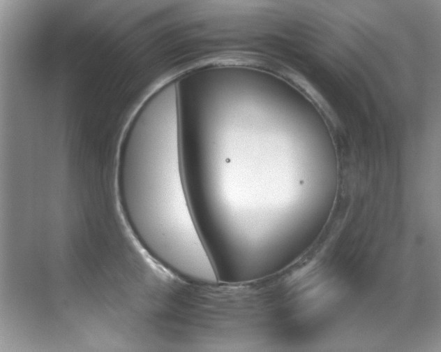 X0000070410853200606090953