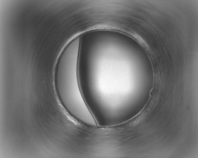 X0000070410854200606090953