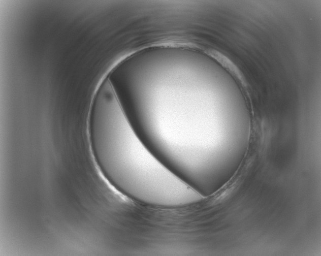 X0000070410855200606090954