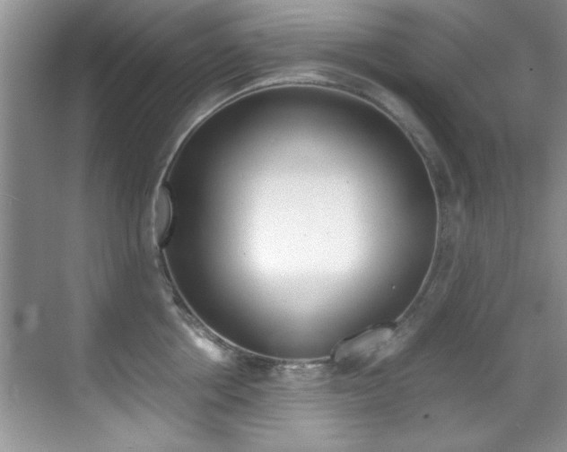 X0000070410858200606090954