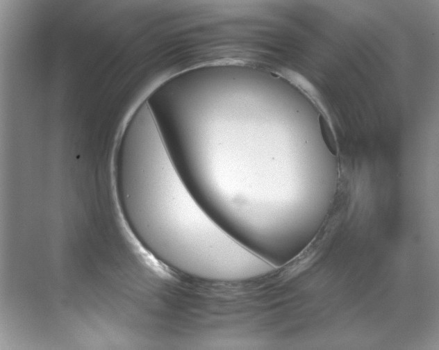 X0000070410859200606090954