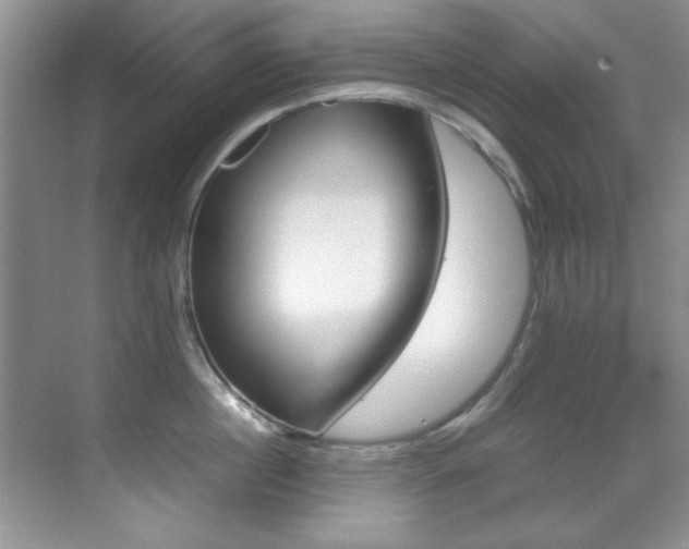 X0000070410860200606090954