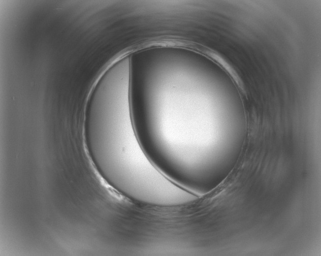 X0000070410861200606090954