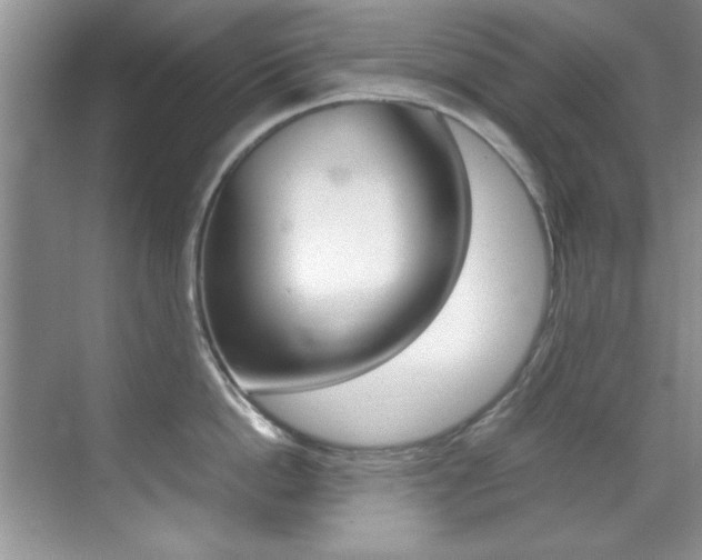 X0000070410862200606090954