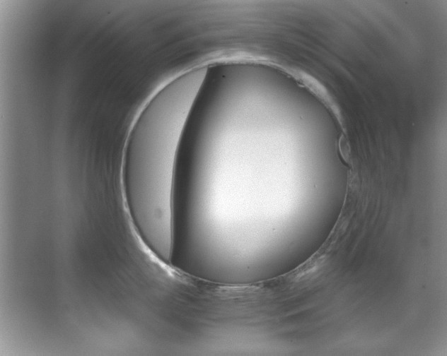 X0000070410863200606090954