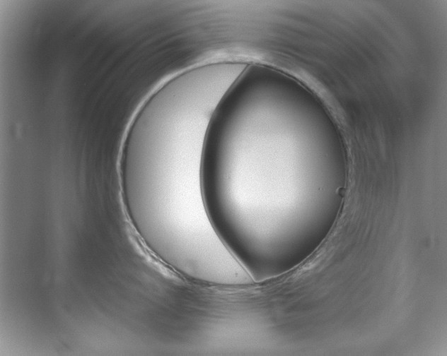 X0000070410864200606090954