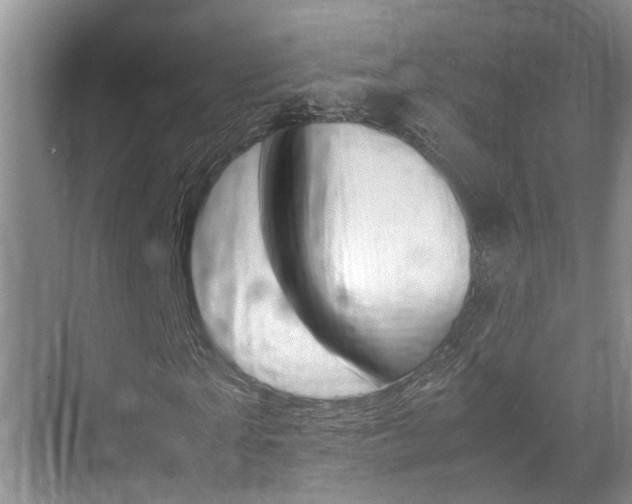 X0000070410865200606090953