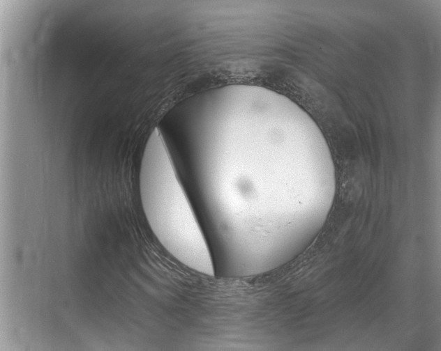 X0000070410866200606090953