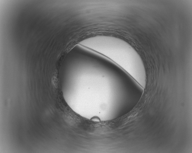 X0000070410867200606090953