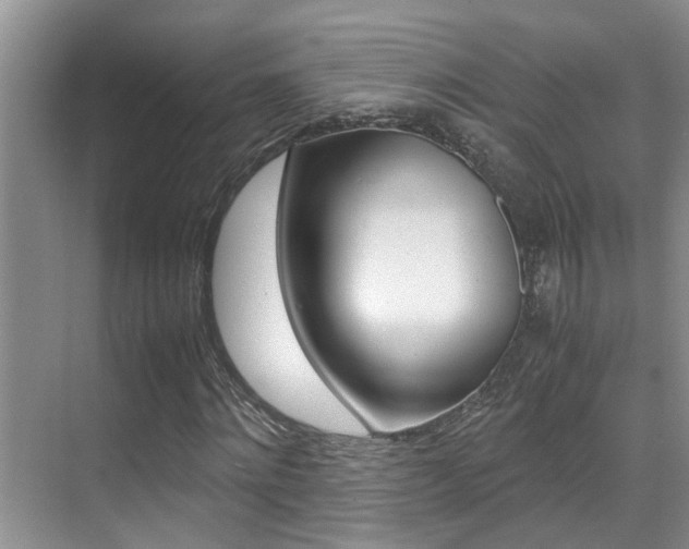 X0000070410868200606090953