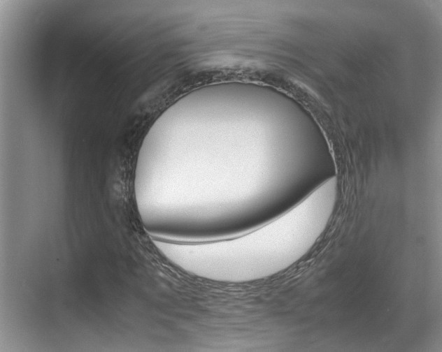 X0000070410869200606090953