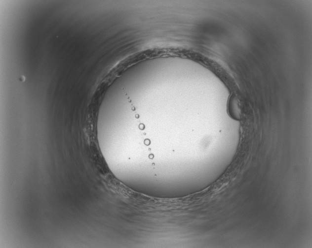 X0000070410871200606090953