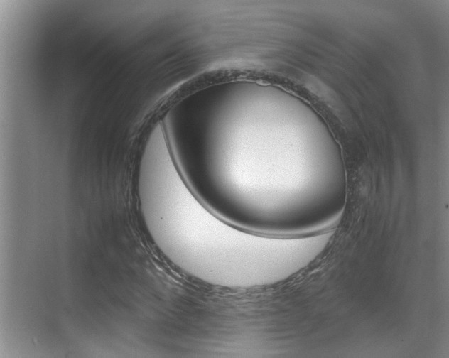 X0000070410872200606090953