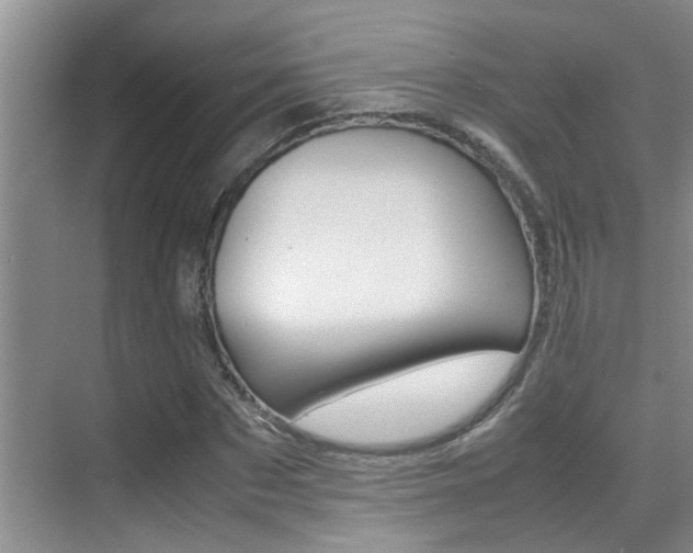 X0000070410873200606090953