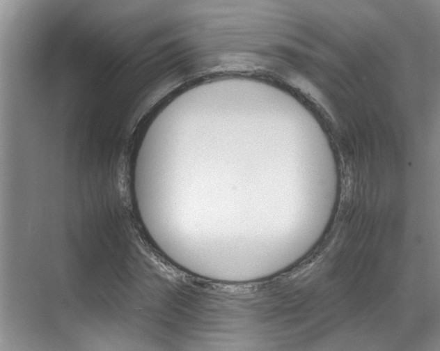 X0000070410874200606090953