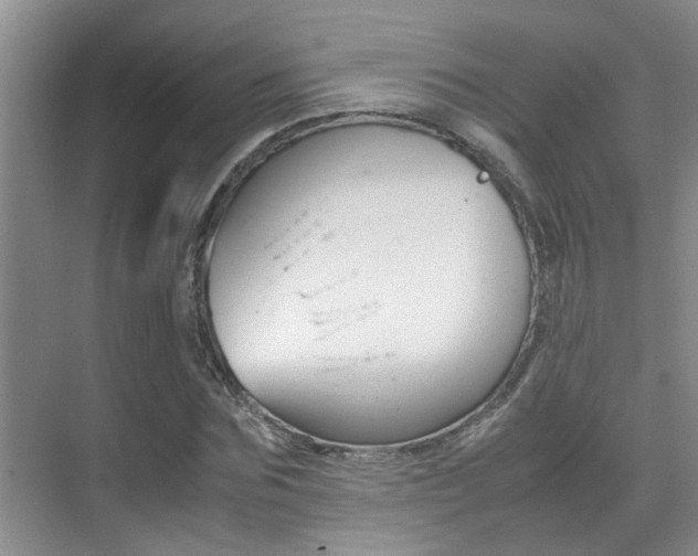 X0000070410875200606090953