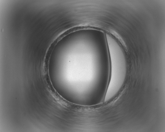 X0000070410876200606090953