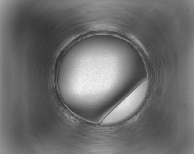 X0000070410877200606090953