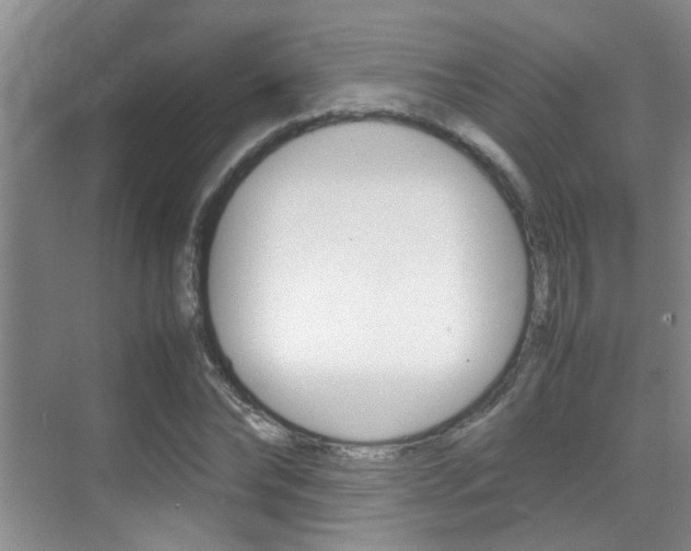 X0000070410878200606090953