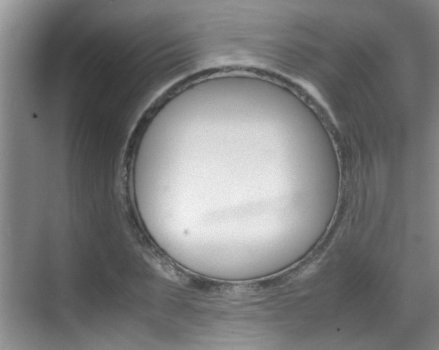 X0000070410879200606090953