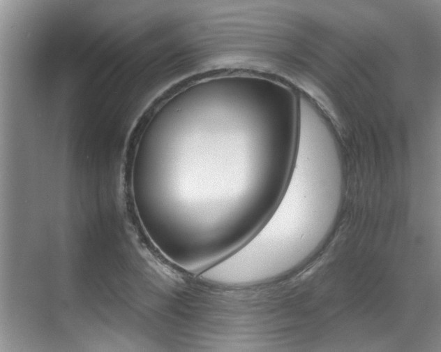 X0000070410880200606090953