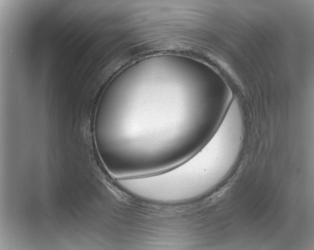 X0000070410881200606090953